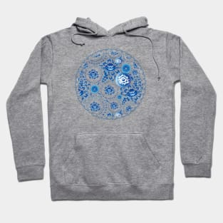 Romantic blue flowers and leaves (4) Hoodie